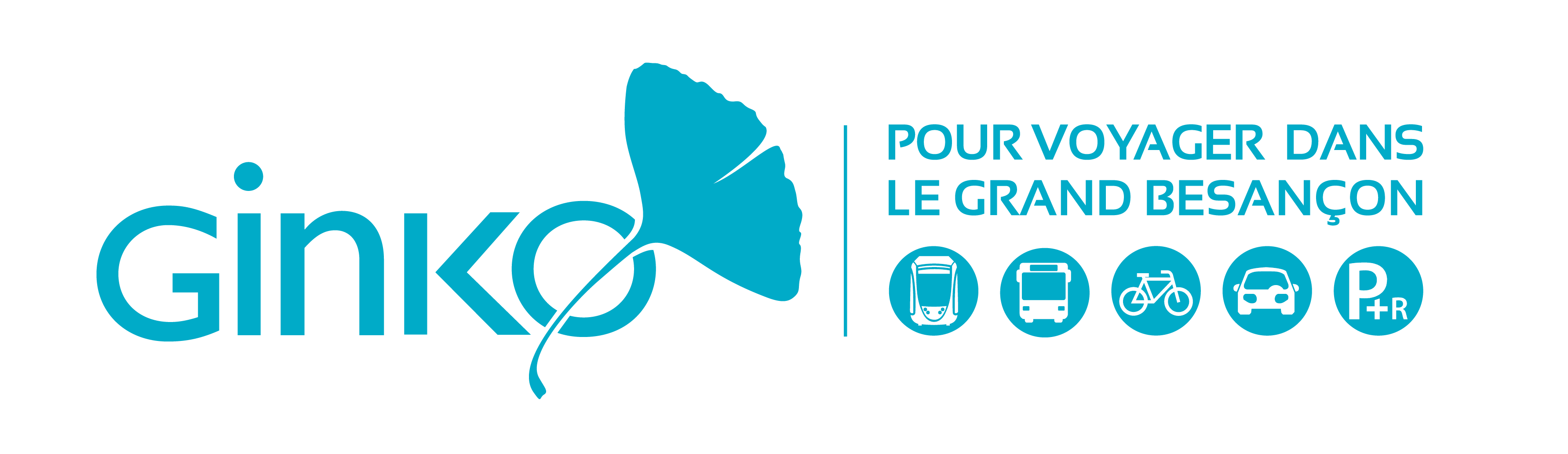 Logo Ginko